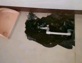 成都卫生间测漏水多少钱 成都卫生间测漏水多少钱